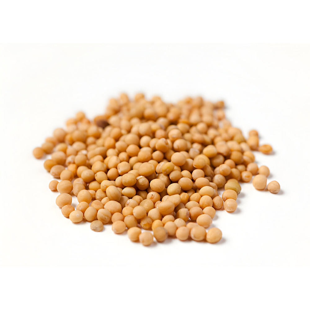 Mustard Seeds
