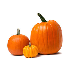 Pumpkin