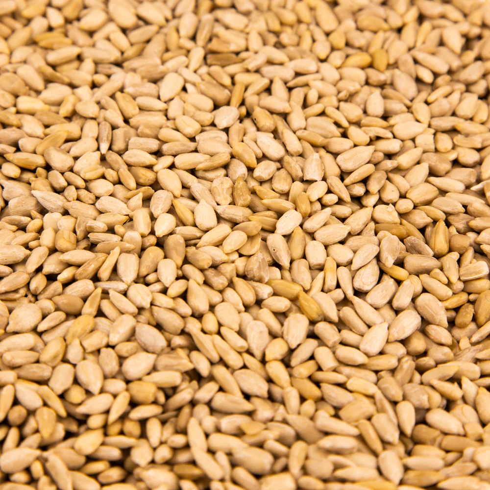 Sunflower Seeds