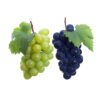 grape