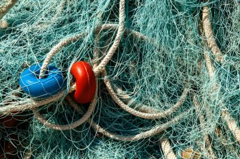 Nylon Fish Net Scrap